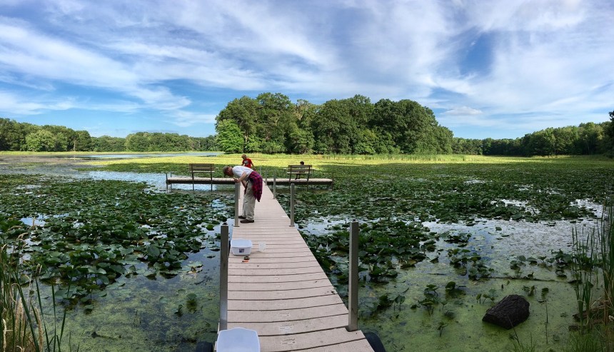 Father and son explore Long Lake in Stillwater