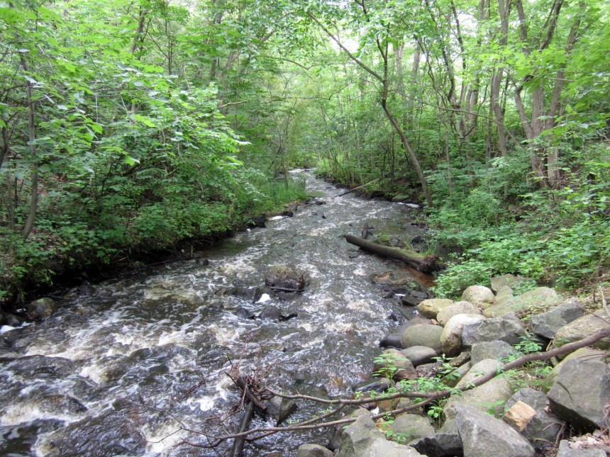 Brown's Creek