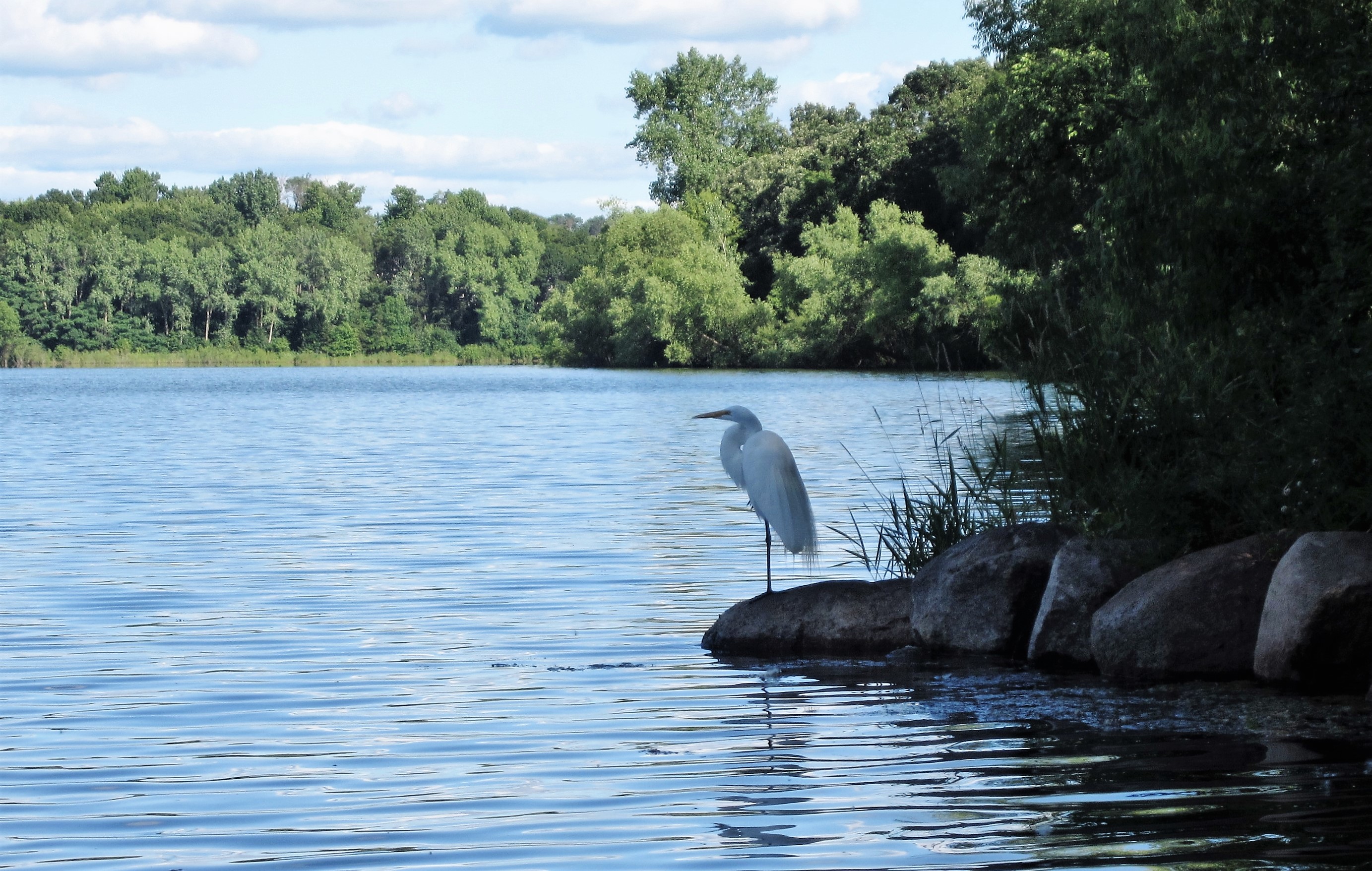 Bringing public art into stormwater management East Metro Water