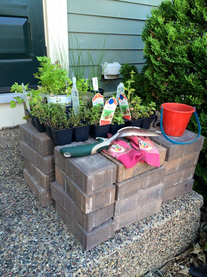 11535885_10153405878994105_2325318151439454748_n