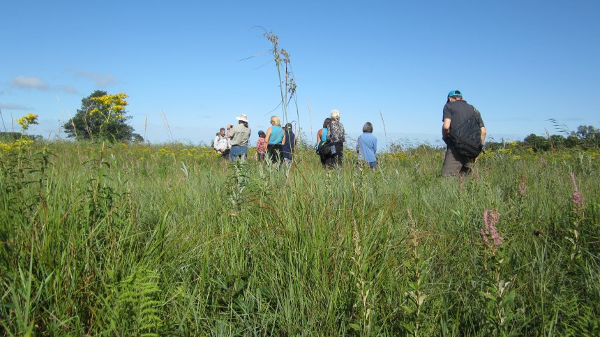 Jason Husveth leads water professionals on a tour at Blaine Wetlands Sanctuary