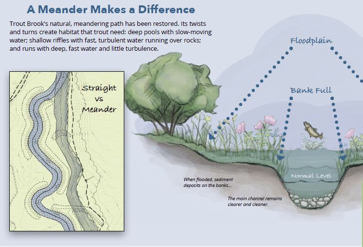 meander