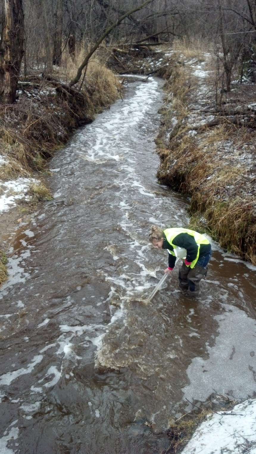 WCD staff collecting water quality sample from Trout Brook