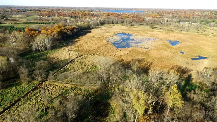Judicial Ditch 6 and wetland complex near Forest Lake