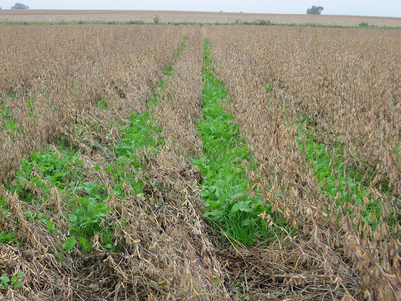 48347769001_d9bb3b839e_c