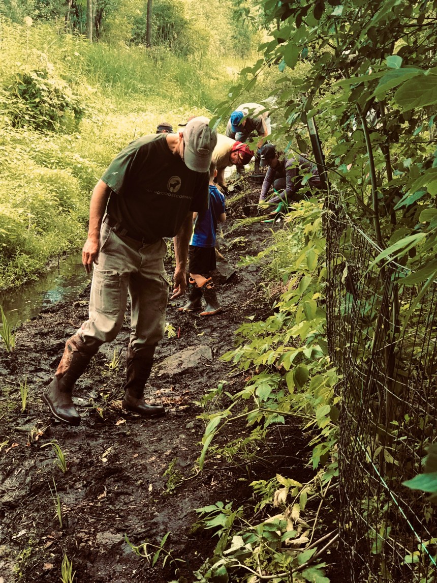 Marine neighbors plant a stream corridor in July
