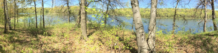 Mays Lake, one of three shallow lakes with exceptional water quality in CMSCWD