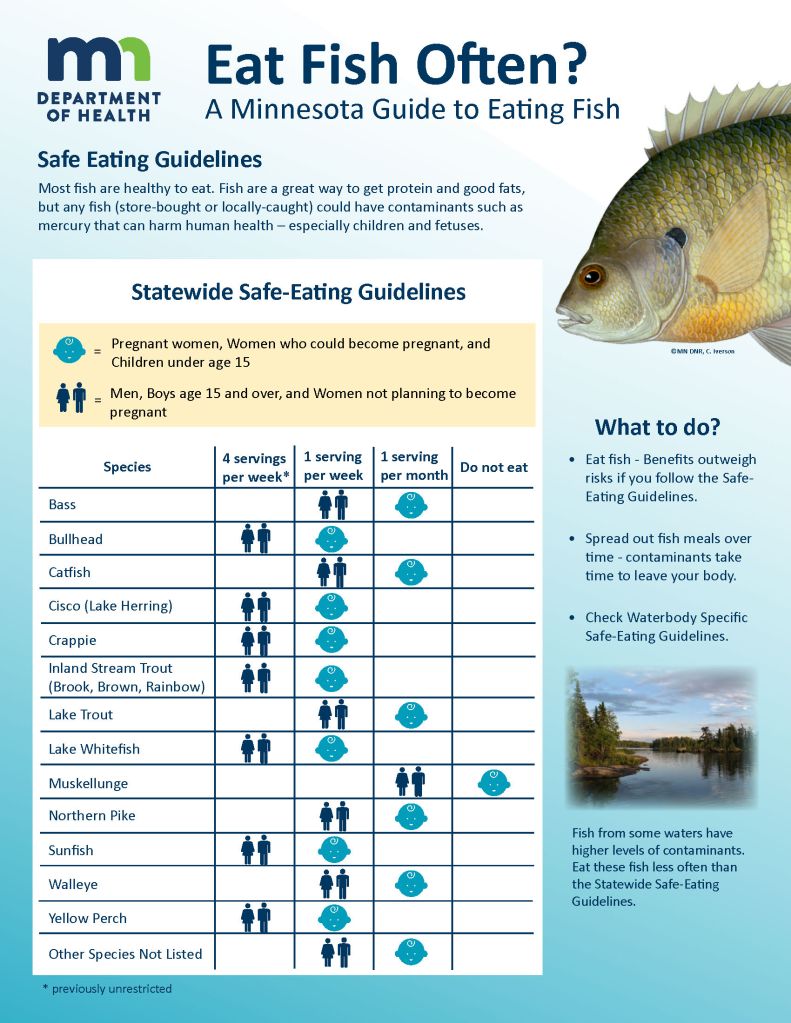 Great Lakes Canada on X: #Fish consumption guidelines set limits
