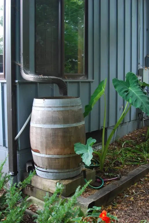Using rain barrels to save water and money – East Metro Water