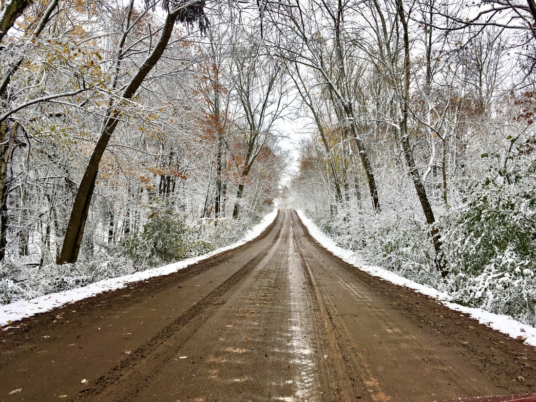 a gravel road in a forest in winter