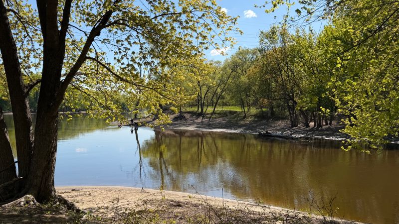 a river and trees